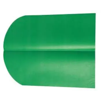 RAJESWARI NURSERY Paper Banana Leaf